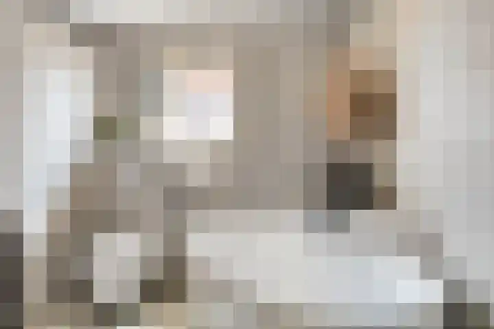 Dr Schaepmanstraat 23 B Ulft thumbnail 28