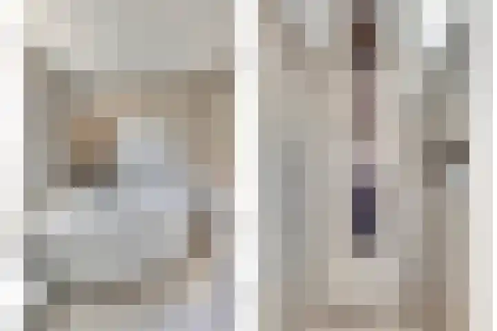 Dr Schaepmanstraat 23 B Ulft thumbnail 30