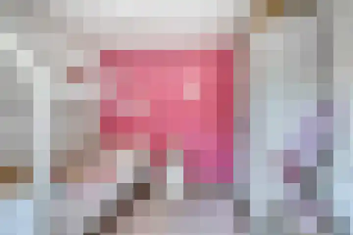 Dr Schaepmanstraat 23 B Ulft thumbnail 33