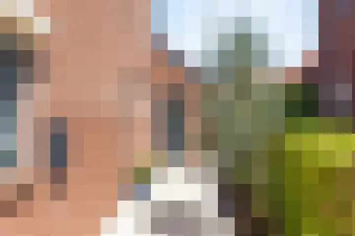 Dr Schaepmanstraat 23 B Ulft thumbnail 9