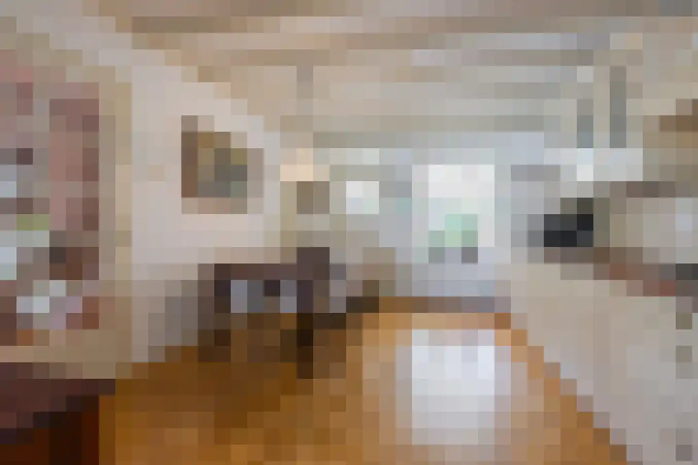 Dr. Schaepmanstraat 25 Tiel thumbnail 14