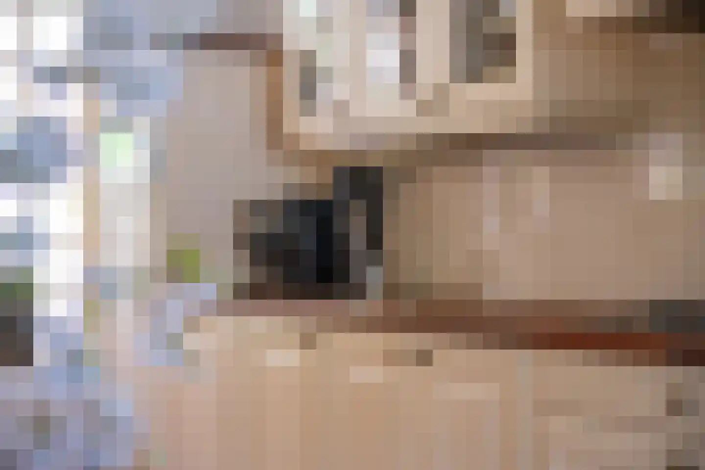 Dr. Schaepmanstraat 25 Tiel thumbnail 15