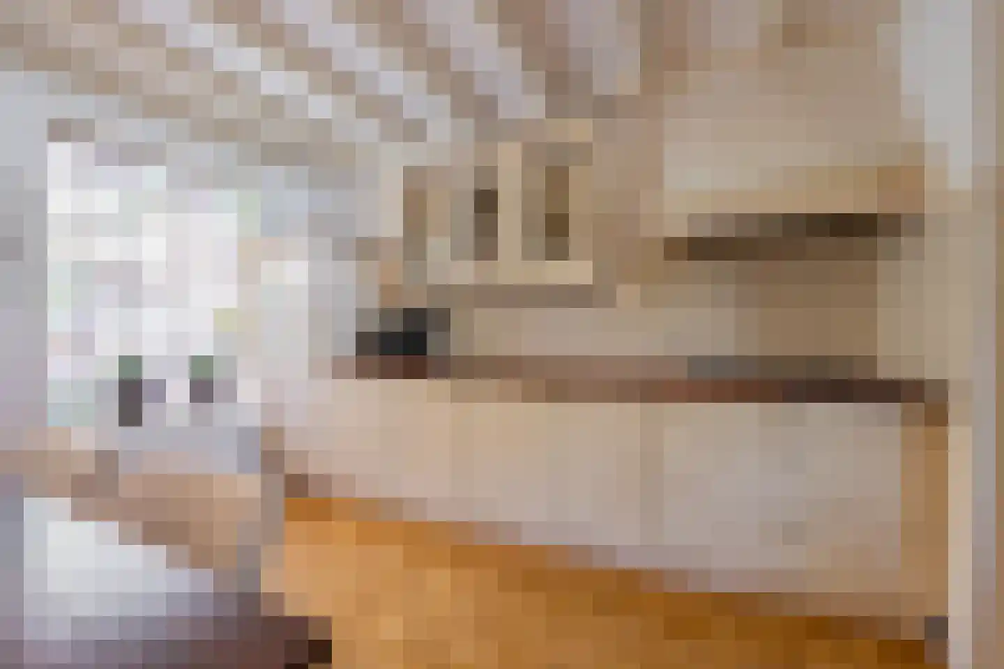 Dr. Schaepmanstraat 25 Tiel thumbnail 16