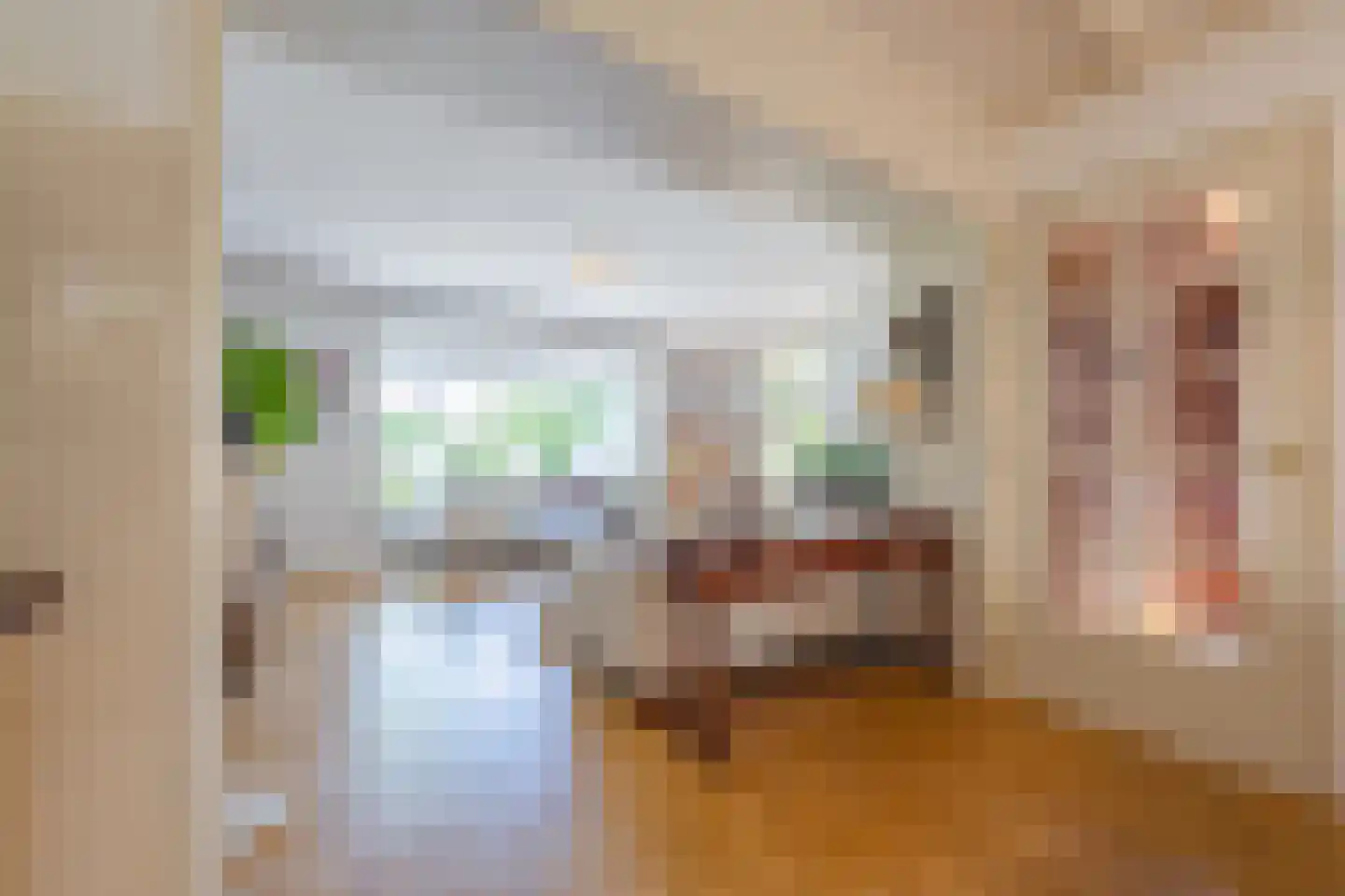 Dr. Schaepmanstraat 25 Tiel thumbnail 19