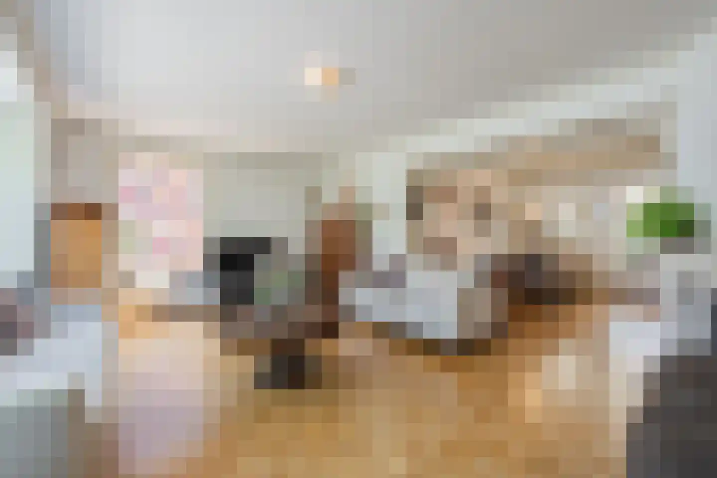Dr. Schaepmanstraat 25 Tiel thumbnail 21
