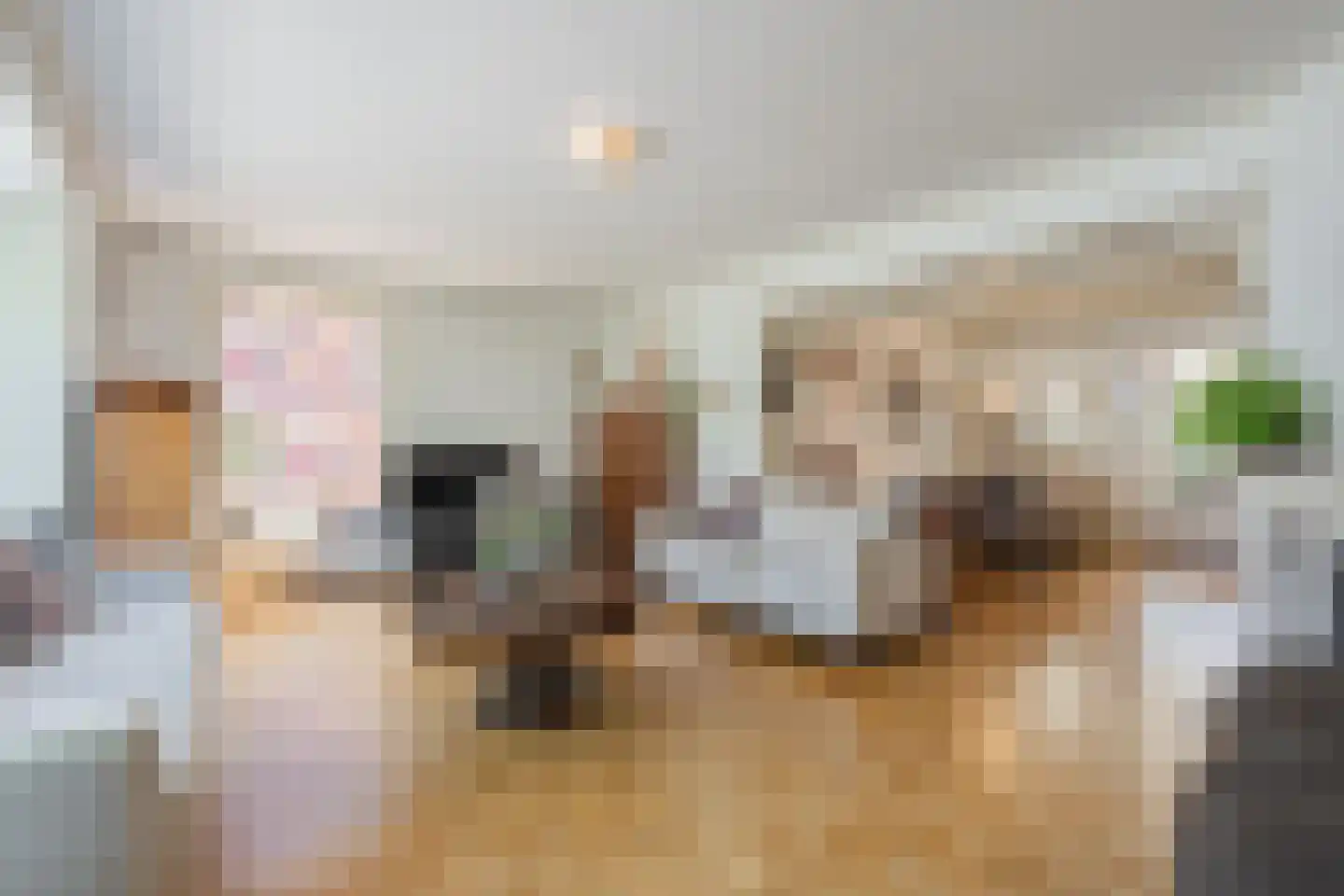 Dr. Schaepmanstraat 25 Tiel thumbnail 22