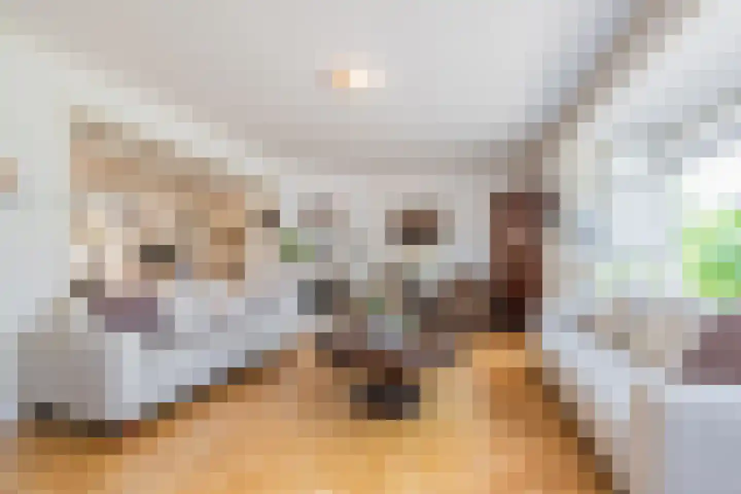 Dr. Schaepmanstraat 25 Tiel thumbnail 23