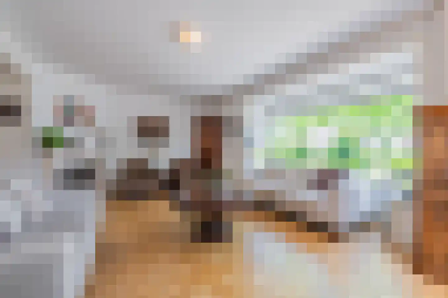 Dr. Schaepmanstraat 25 Tiel thumbnail 25