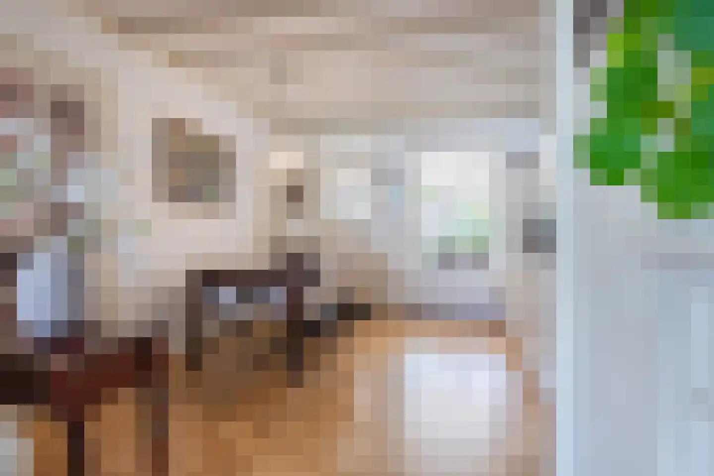Dr. Schaepmanstraat 25 Tiel thumbnail 27