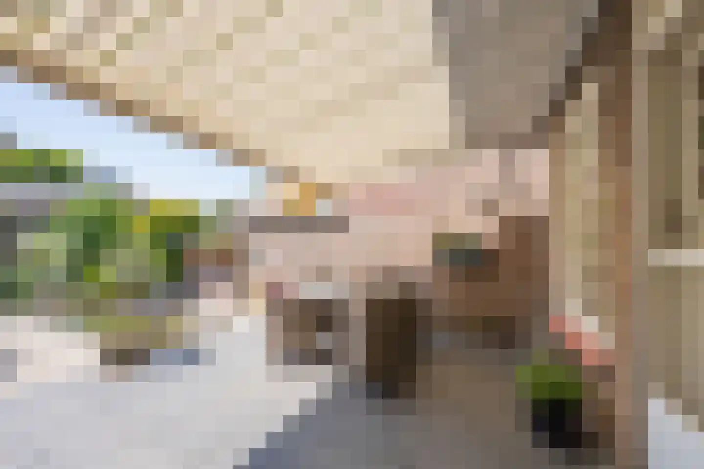Dr. Schaepmanstraat 25 Tiel thumbnail 29