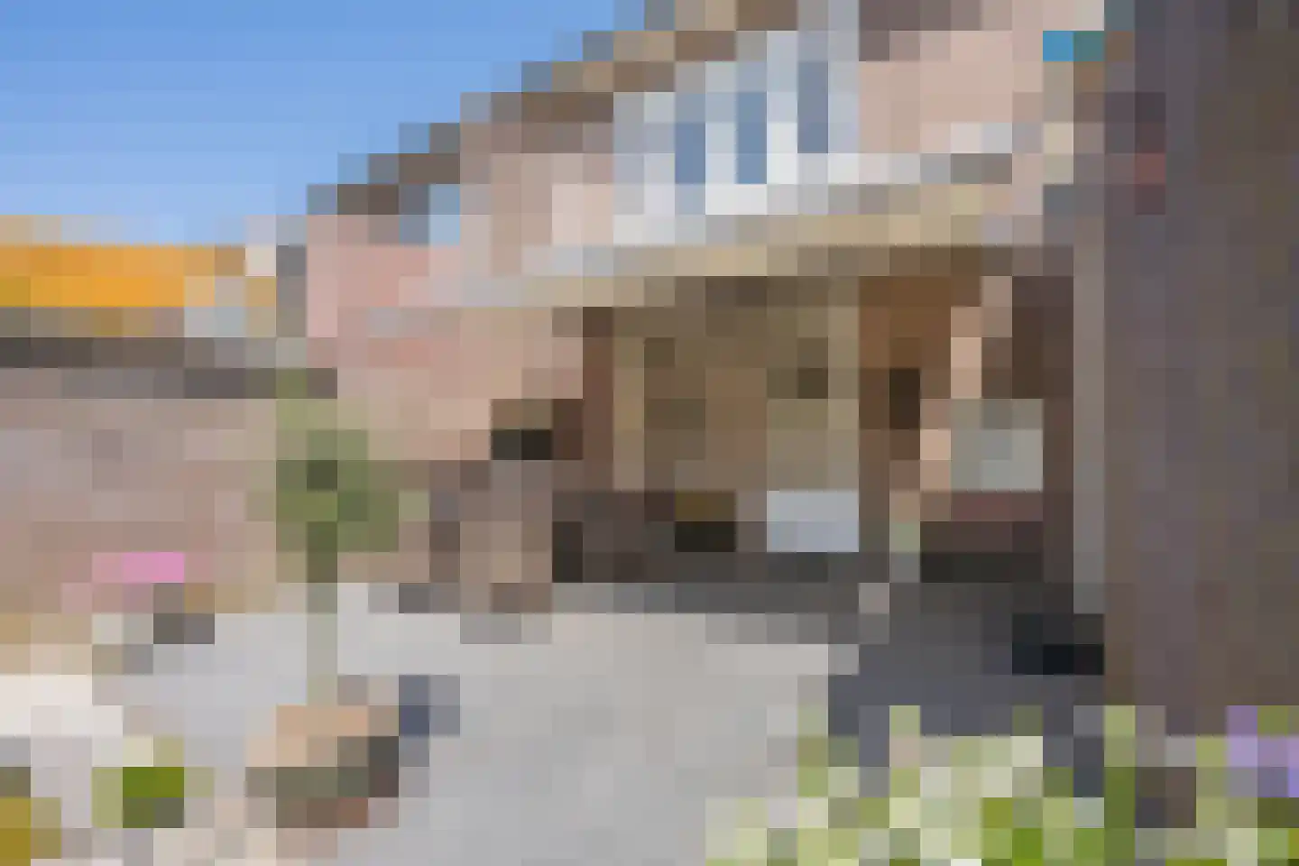 Dr. Schaepmanstraat 25 Tiel thumbnail 30