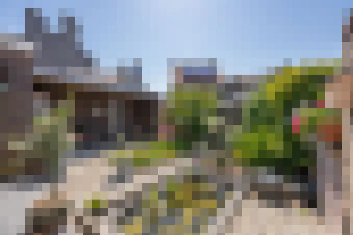 Dr. Schaepmanstraat 25 Tiel thumbnail 31