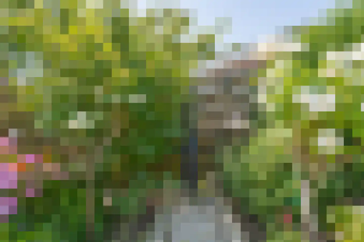 Dr. Schaepmanstraat 25 Tiel thumbnail 34
