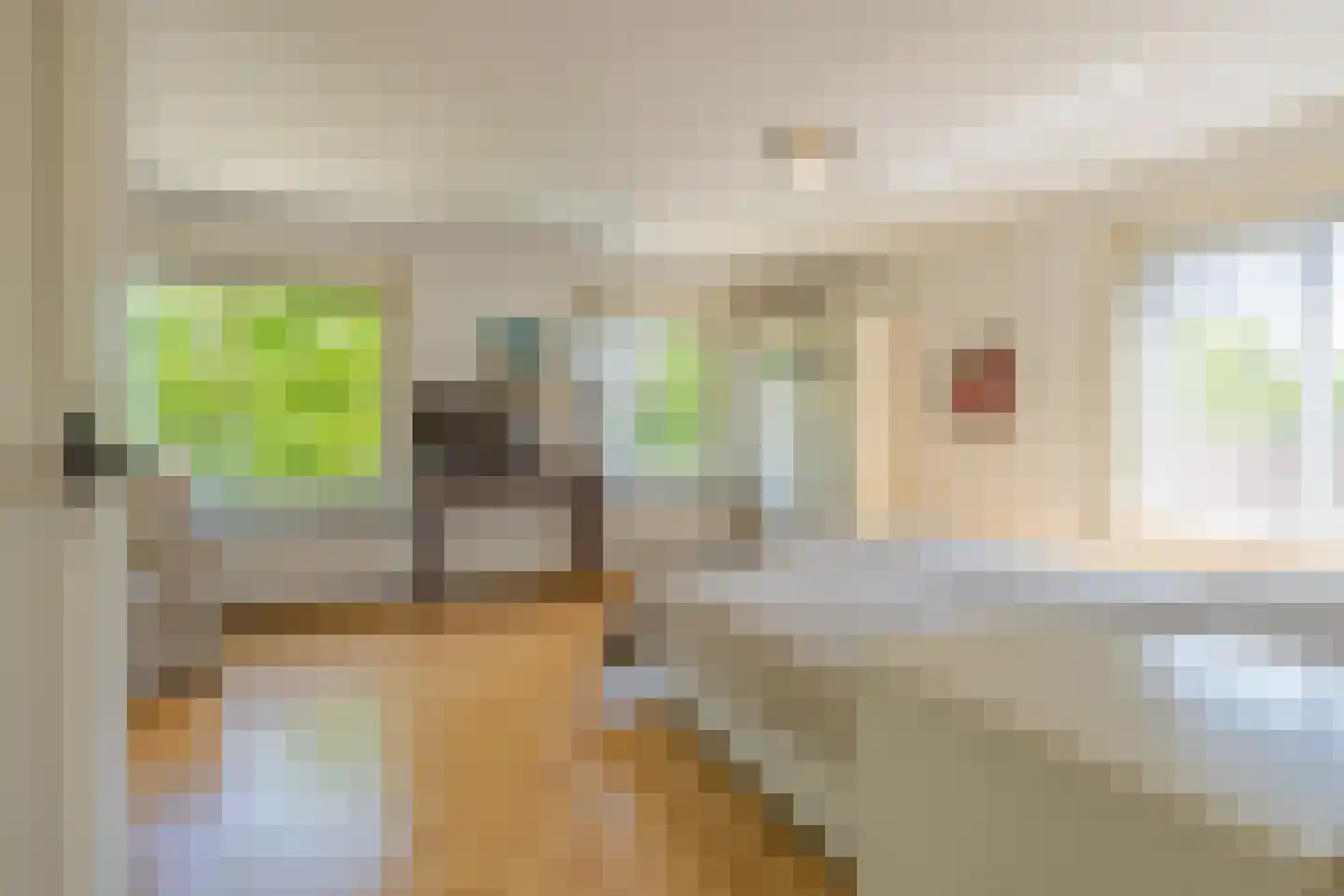 Dr. Schaepmanstraat 25 Tiel thumbnail 42