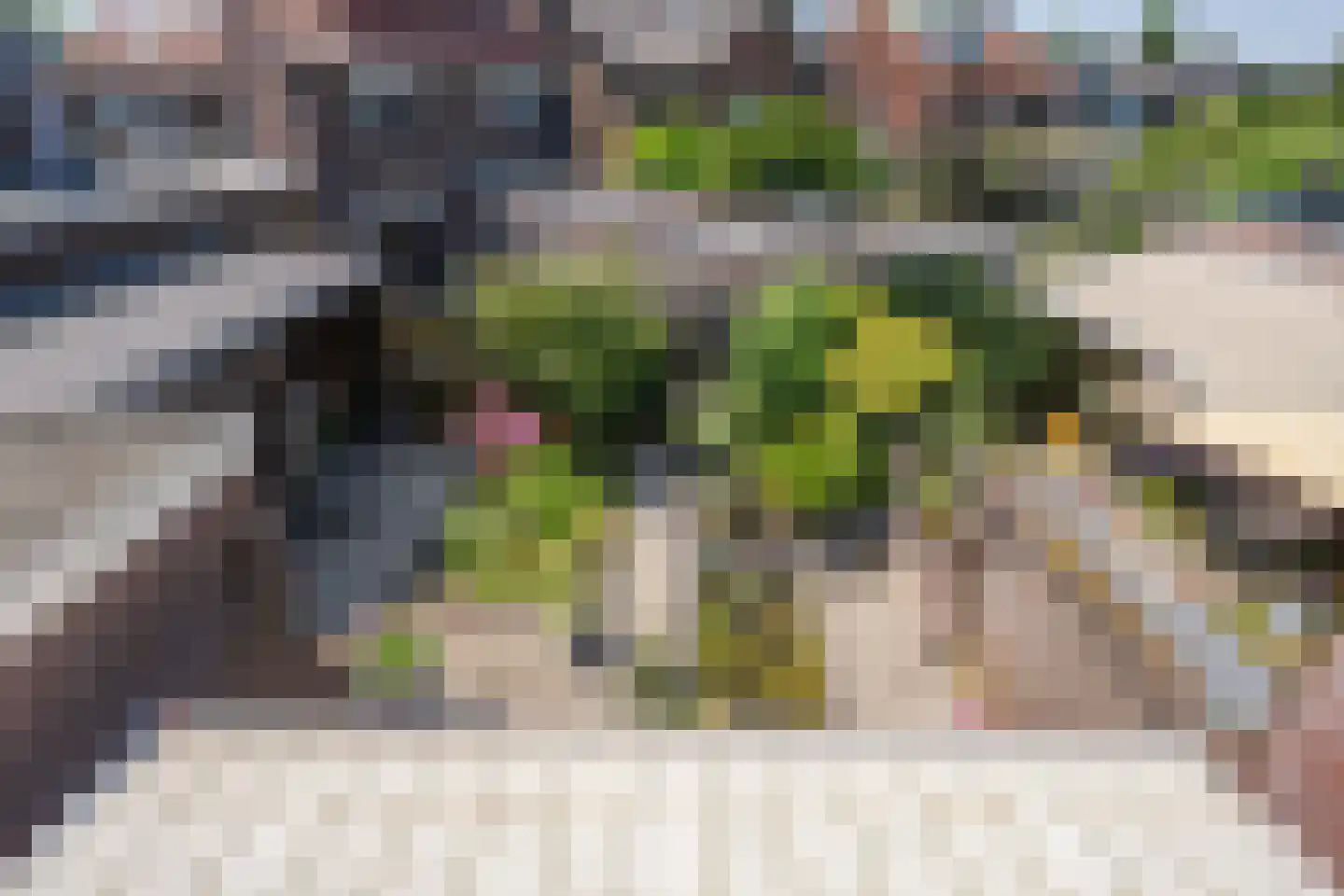 Dr. Schaepmanstraat 25 Tiel thumbnail 49