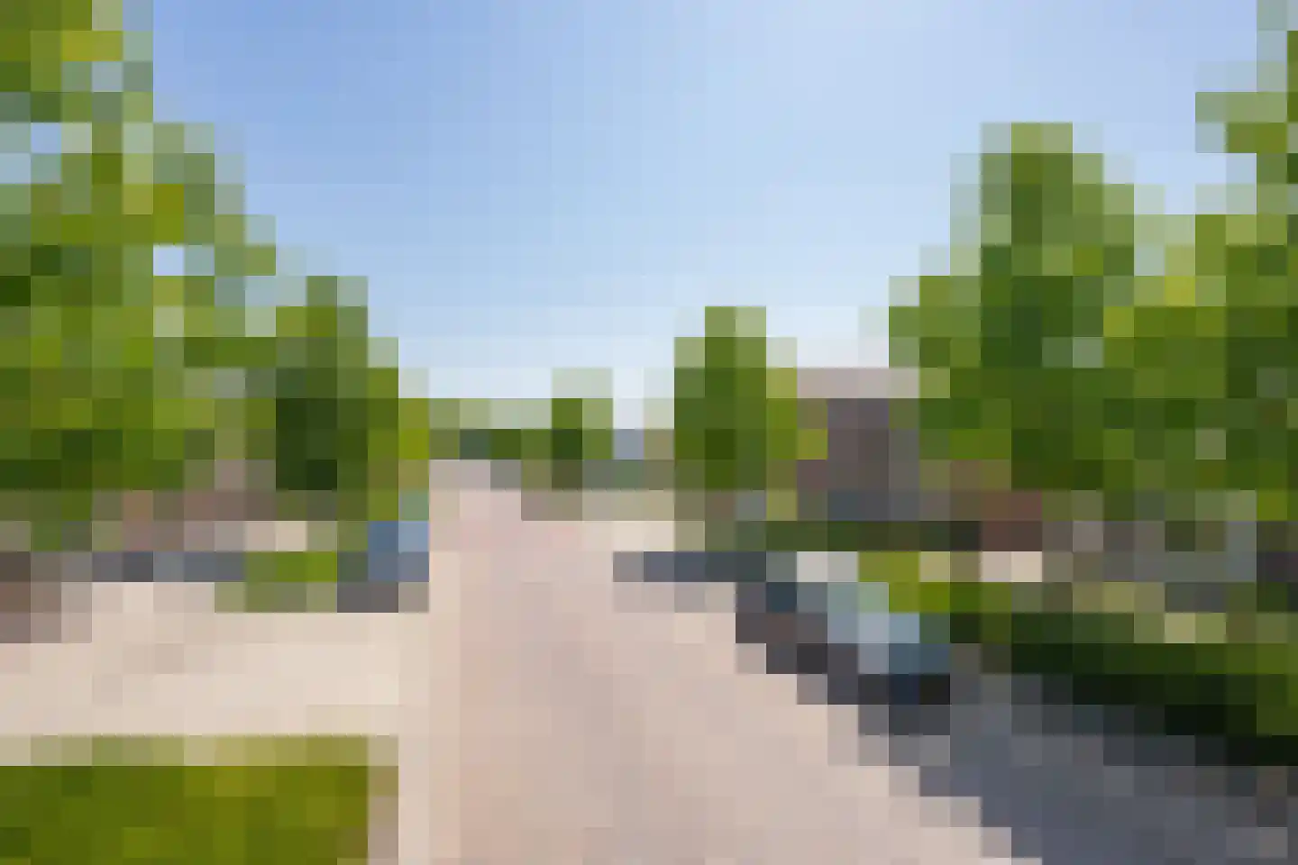 Dr. Schaepmanstraat 25 Tiel thumbnail 5