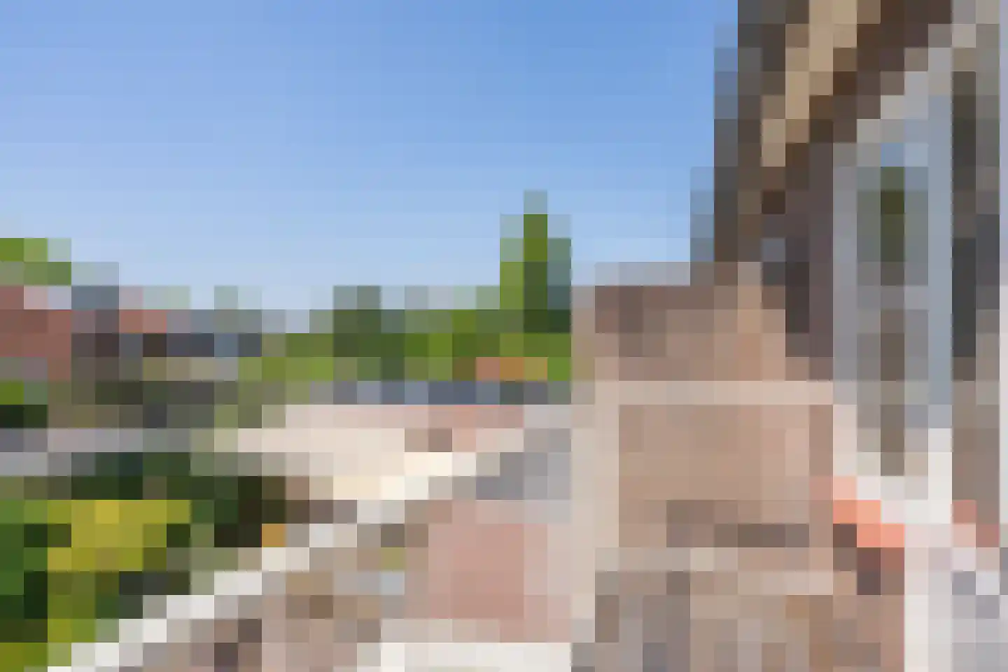 Dr. Schaepmanstraat 25 Tiel thumbnail 50