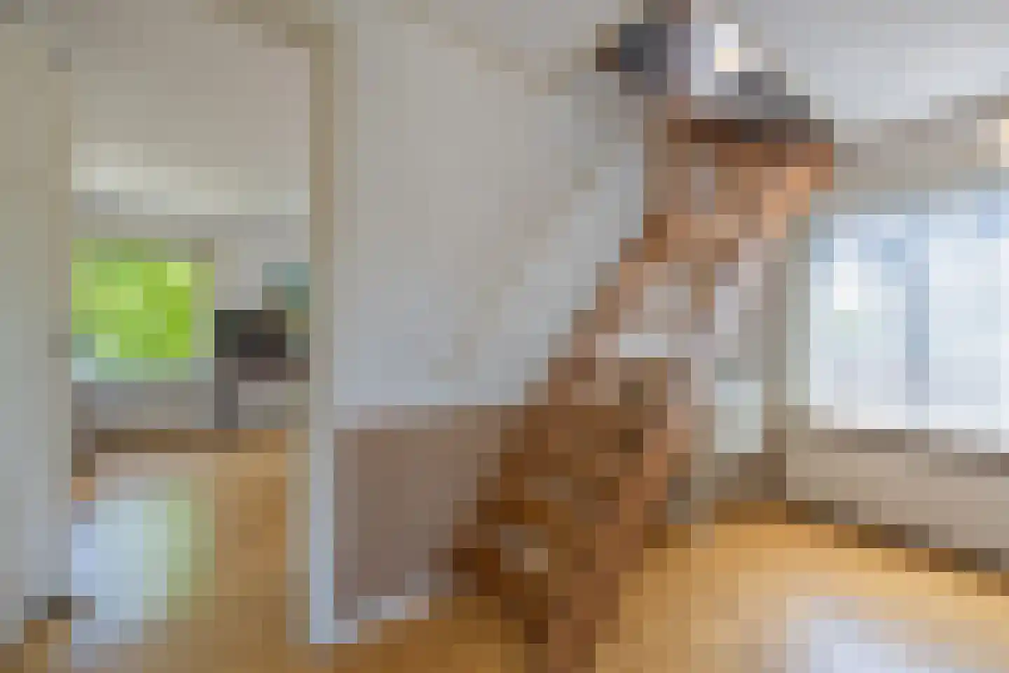 Dr. Schaepmanstraat 25 Tiel thumbnail 56