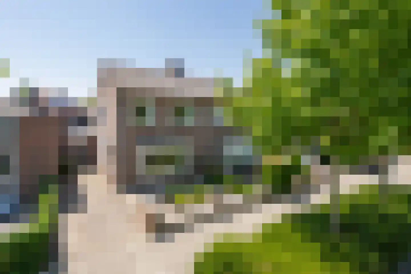 Dr. Schaepmanstraat 25 Tiel thumbnail 59