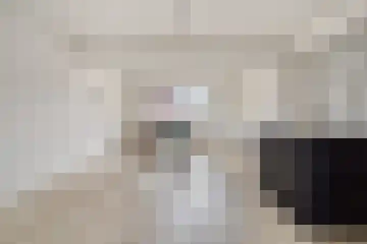 Dr. Schaepmanstraat 3 Panningen thumbnail 10