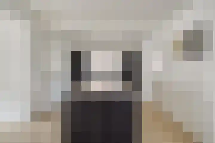 Dr. Schaepmanstraat 3 Panningen thumbnail 12