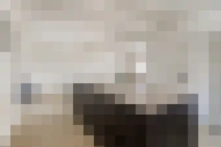 Dr. Schaepmanstraat 3 Panningen thumbnail 14
