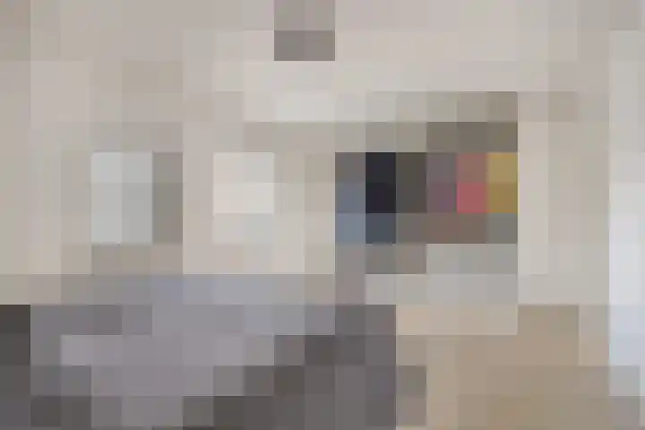 Dr. Schaepmanstraat 3 Panningen thumbnail 23