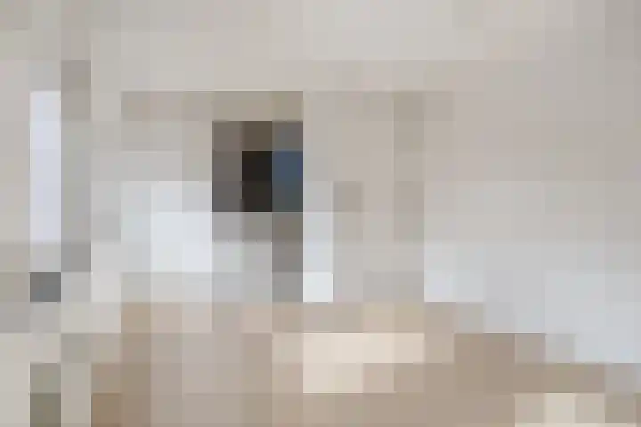 Dr. Schaepmanstraat 3 Panningen thumbnail 25