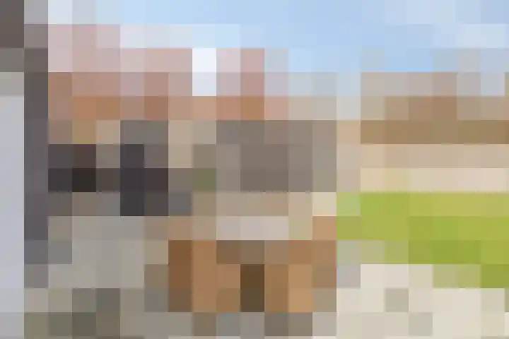 Dr. Schaepmanstraat 3 Panningen thumbnail 28