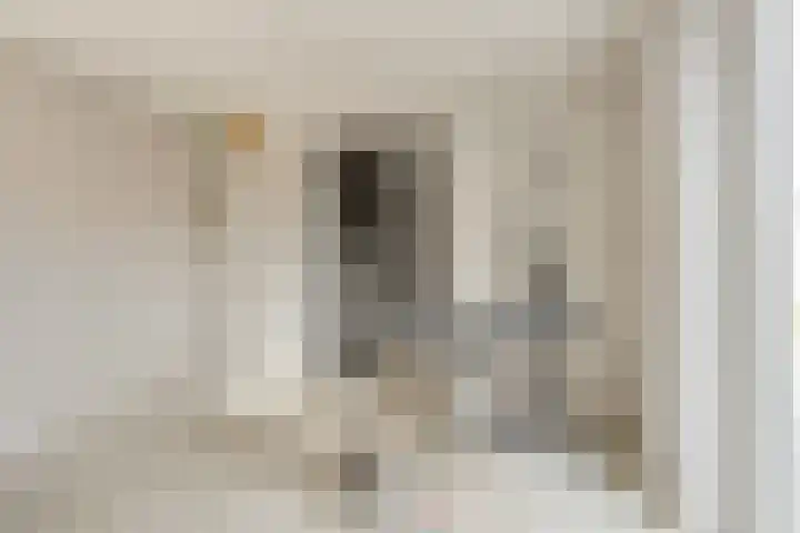 Dr. Schaepmanstraat 3 Panningen thumbnail 30