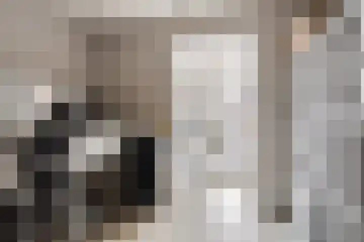 Dr. Schaepmanstraat 3 Panningen thumbnail 32