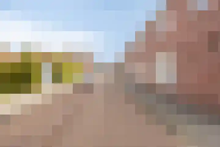 Dr. Schaepmanstraat 3 Panningen thumbnail 37