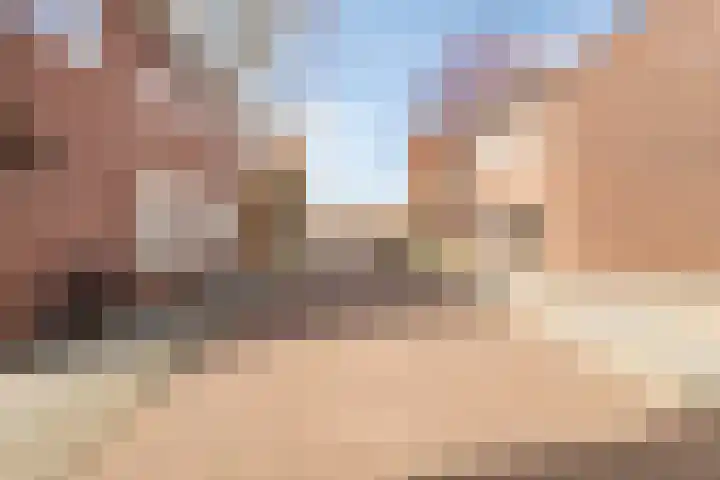 Dr. Schaepmanstraat 3 Panningen thumbnail 38