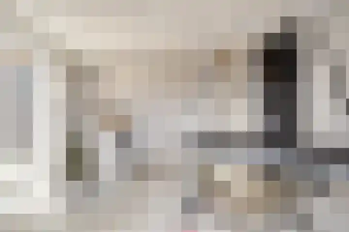 Dr. Schaepmanstraat 3 Panningen thumbnail 4