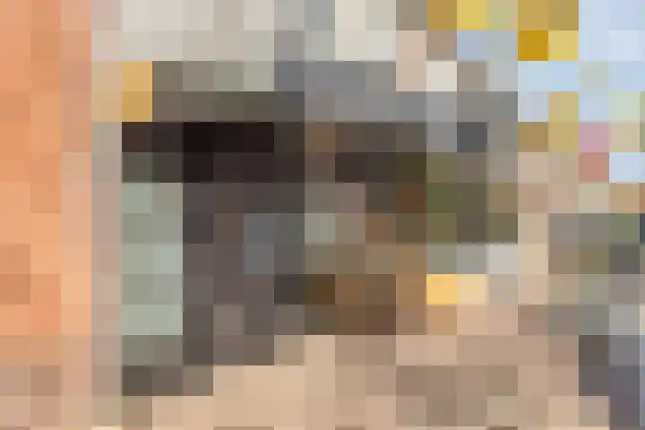 Dr. Schaepmanstraat 3 Panningen thumbnail 42