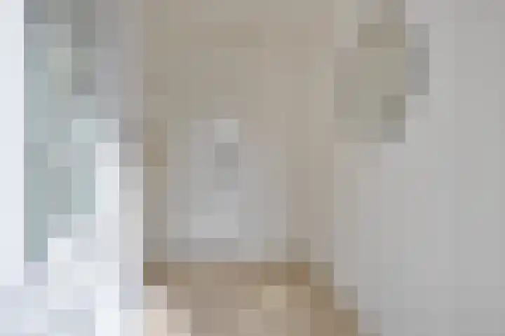 Dr. Schaepmanstraat 3 Panningen thumbnail 5
