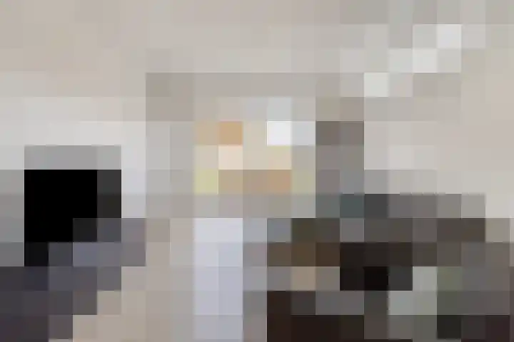 Dr. Schaepmanstraat 3 Panningen thumbnail 8