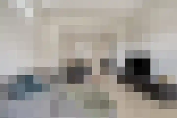 Dr. Schaepmanstraat 3 Panningen thumbnail 9