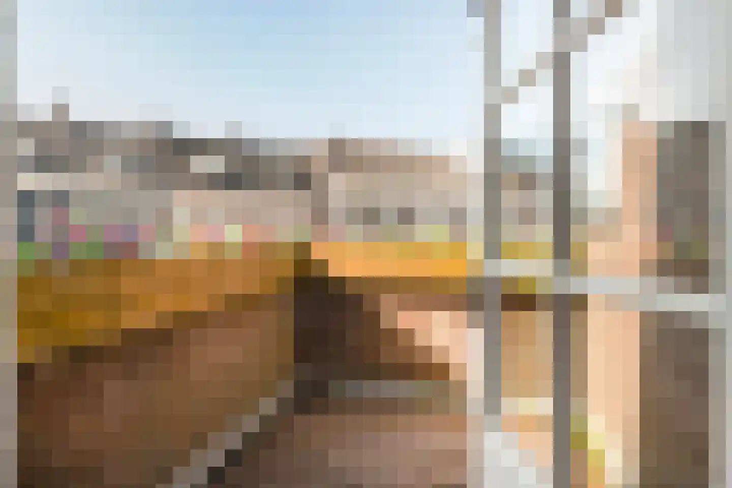 Dr. Schaepmanstraat 3 Tiel thumbnail 21