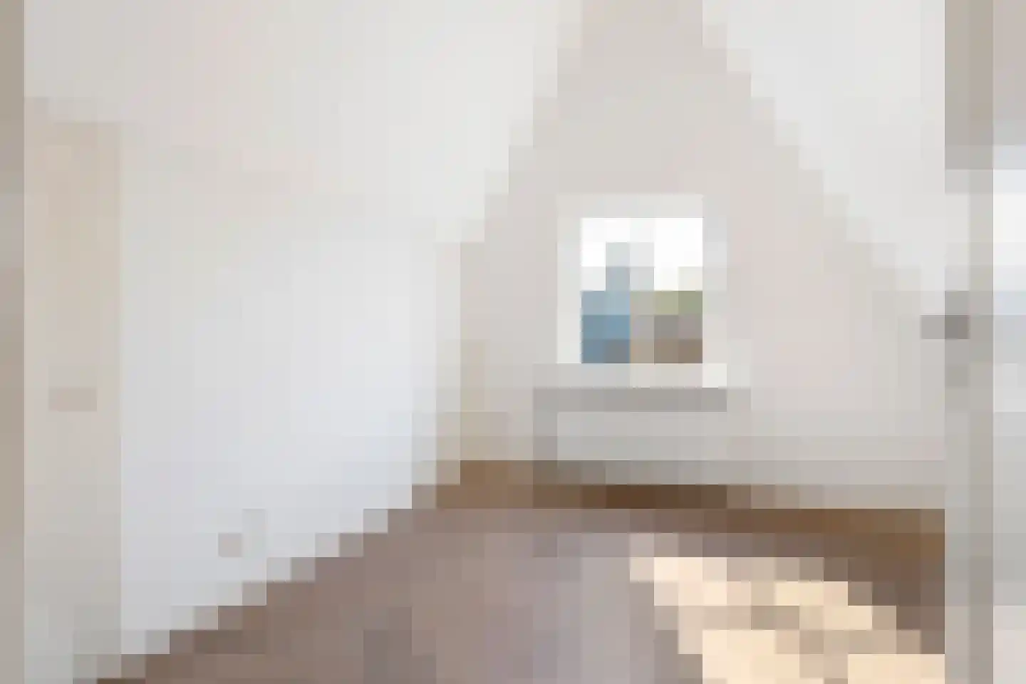 Dr. Schaepmanstraat 3 Tiel thumbnail 26