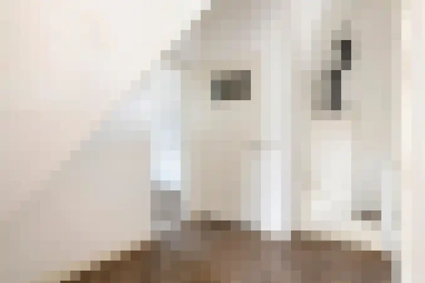 Dr. Schaepmanstraat 3 Tiel thumbnail 28