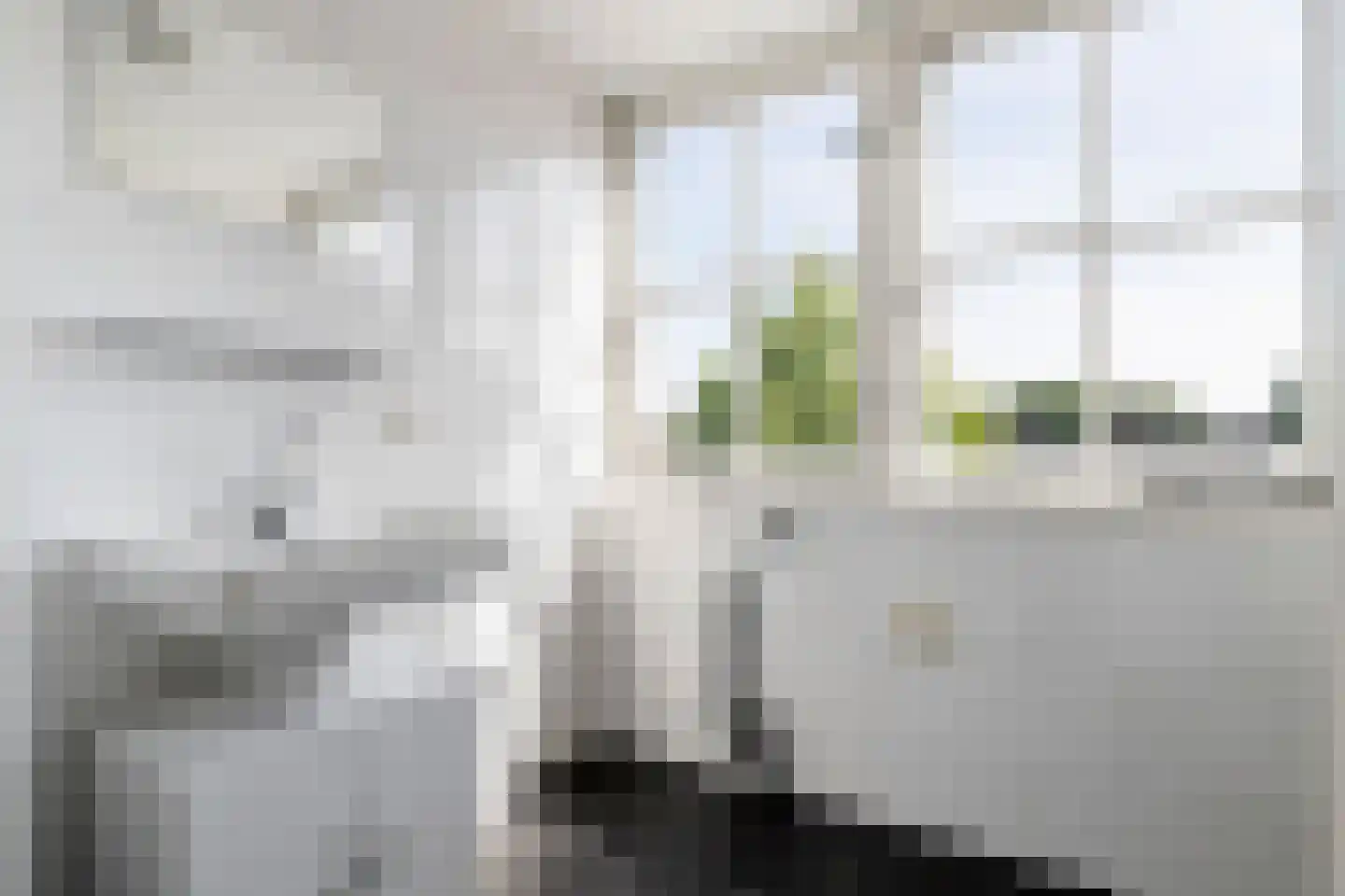 Dr. Schaepmanstraat 3 Tiel thumbnail 32