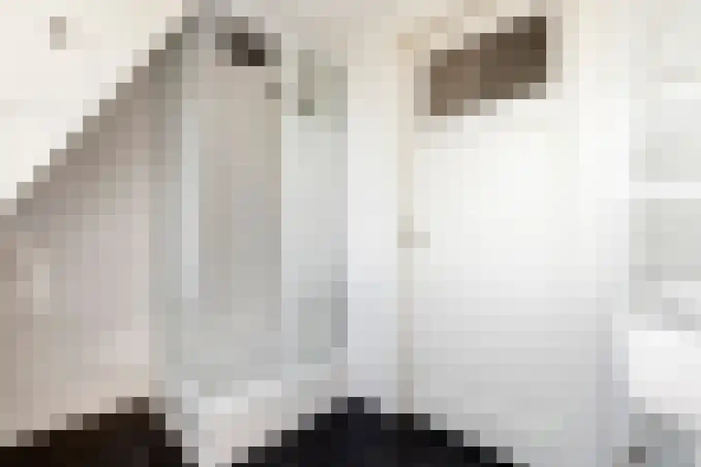 Dr. Schaepmanstraat 3 Tiel thumbnail 33