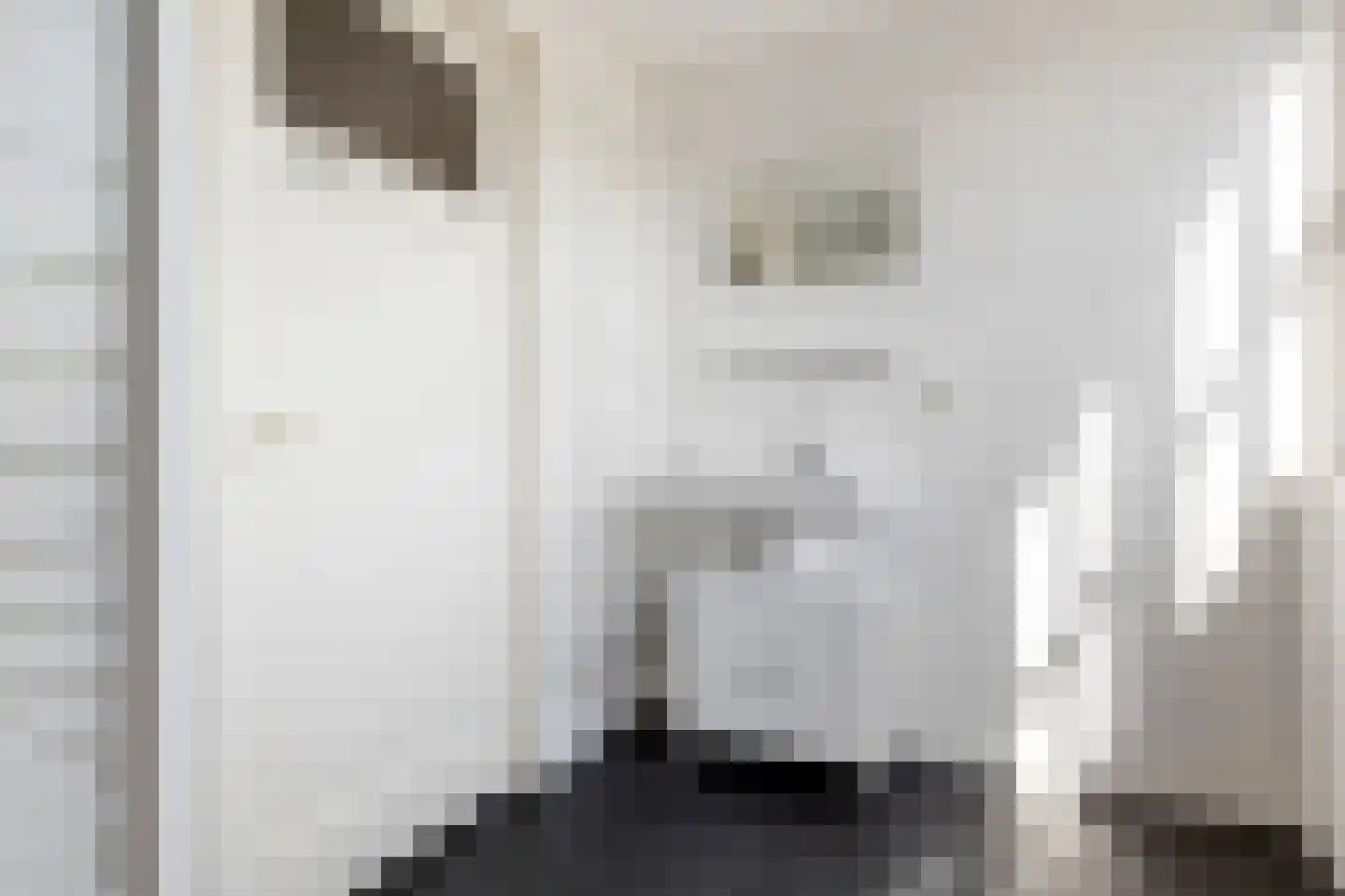 Dr. Schaepmanstraat 3 Tiel thumbnail 34