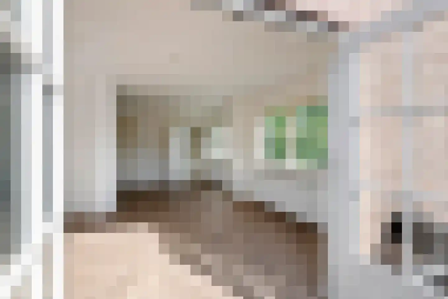 Dr. Schaepmanstraat 3 Tiel thumbnail 4