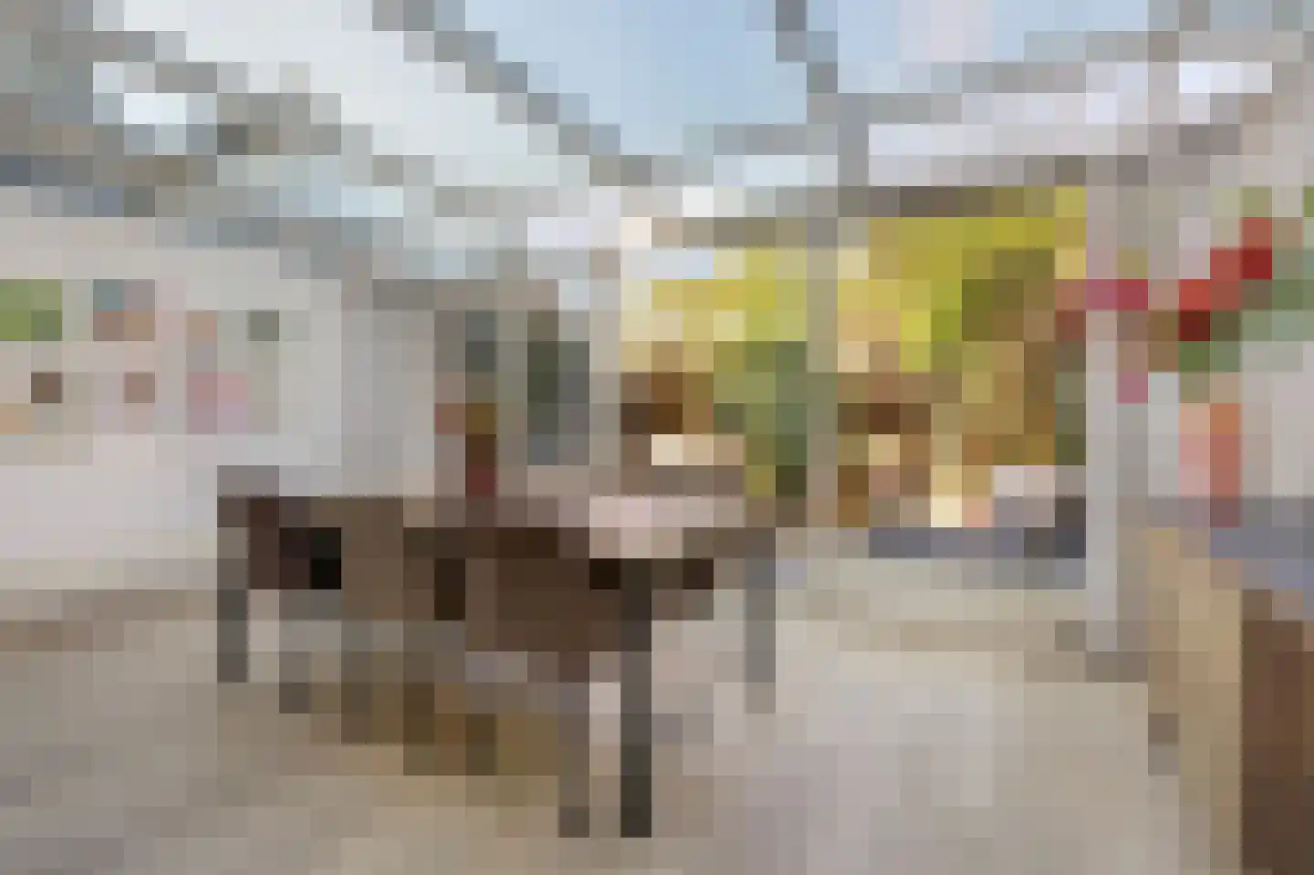 Dr Schaepmanstraat 3 Zevenaar thumbnail 19