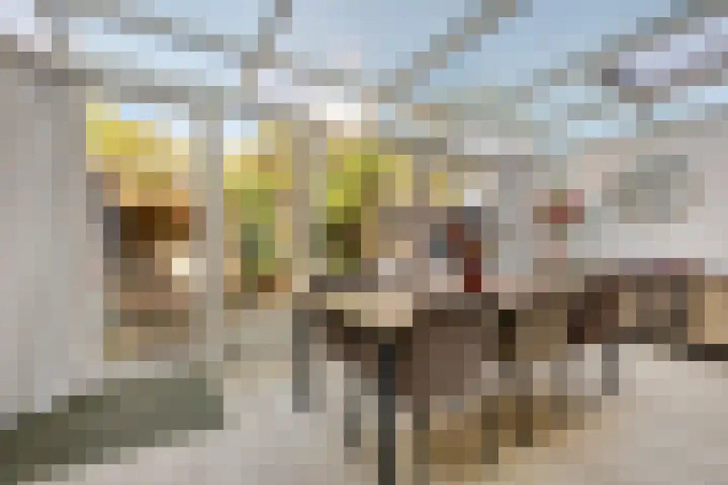 Dr Schaepmanstraat 3 Zevenaar thumbnail 20