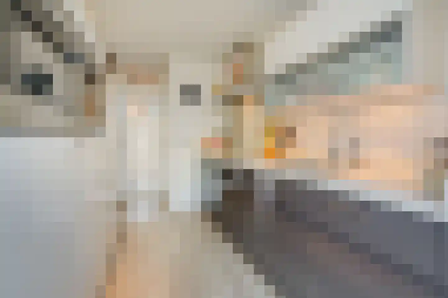 Dr Schaepmanstraat 3 Zevenaar thumbnail 24