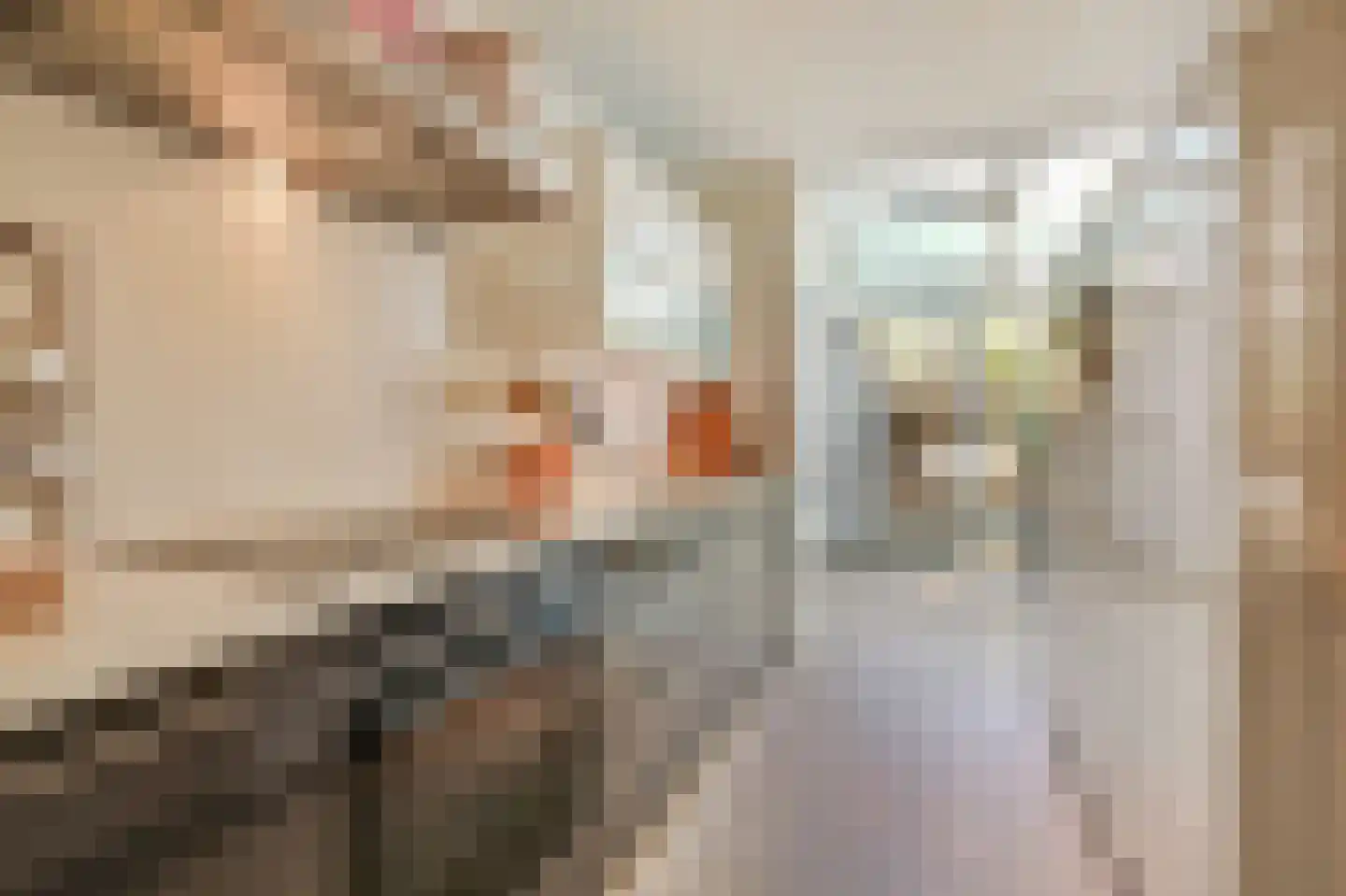 Dr Schaepmanstraat 3 Zevenaar thumbnail 25