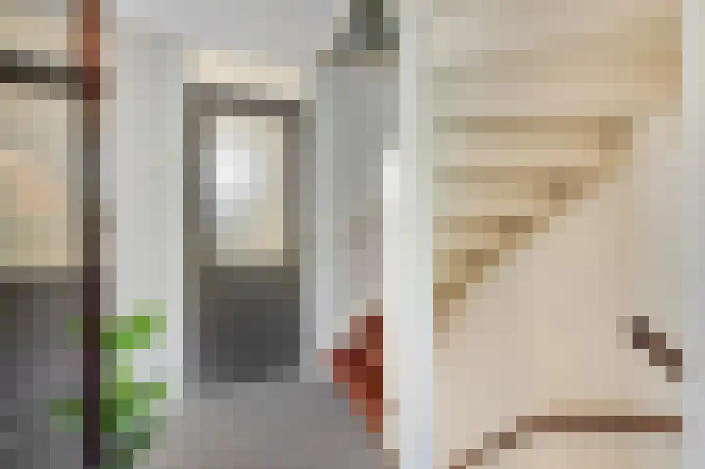 Dr Schaepmanstraat 3 Zevenaar thumbnail 28